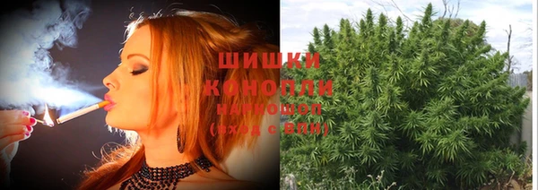 дживик Абинск